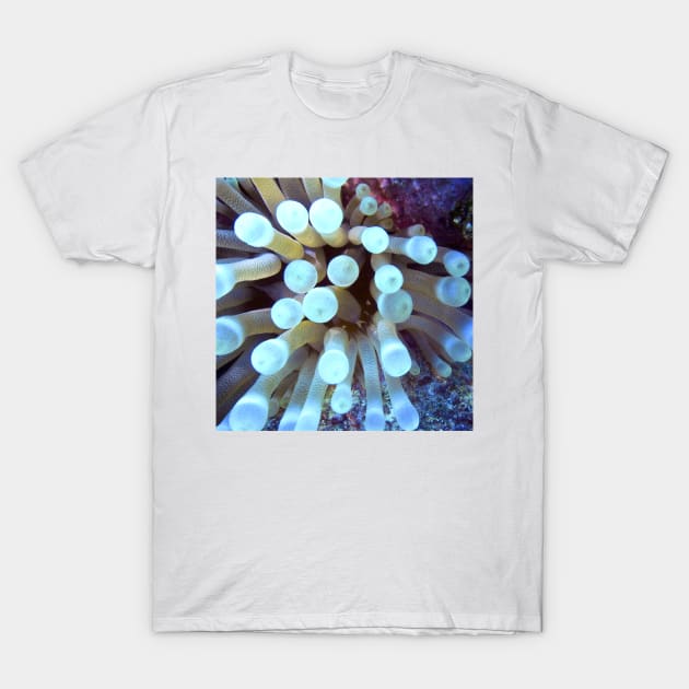 Sea Anemone T-Shirt by Scubagirlamy